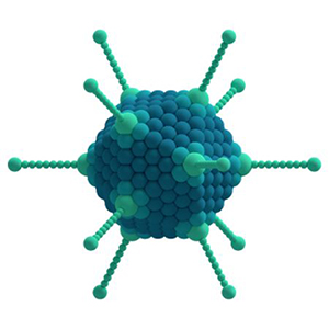 Adeno Virus Model